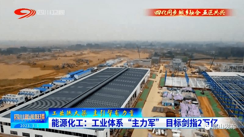 医药级有机化工原料：品质与合规的双重考量**